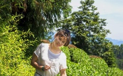 基因物语txt下载